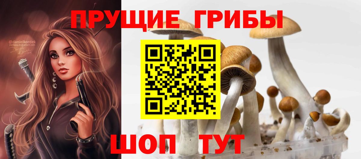 Мыски  Галлюциногенные грибы Psilocybe  Вход с VPN 